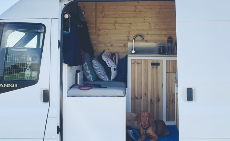 Billy – Stealth 2-berth Ford Transit Van