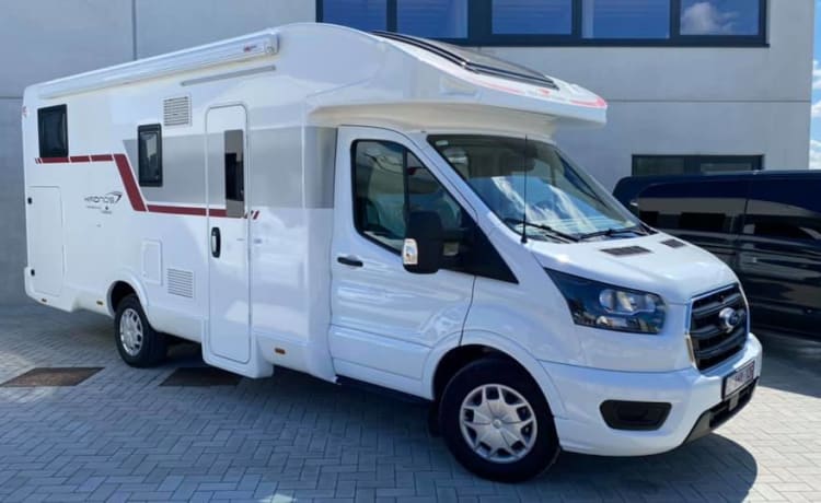 Profilé – Mobil-home neuf spacieux et confortable à louer