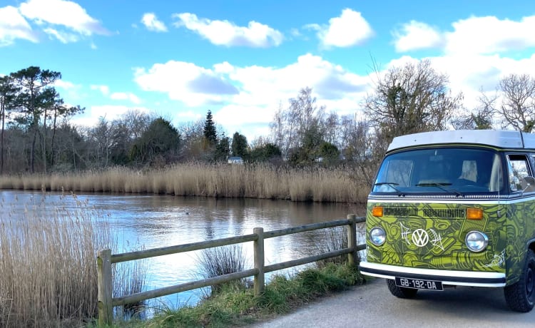 ELVIS  – Vintage Trip, combi westfalia 