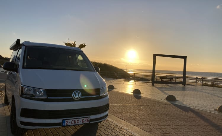 Candy White Supertramp – VW California Coast 4 pers. Automaat.