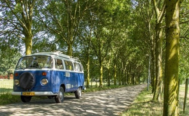 Brutus – Volkswagen Bus Brutus