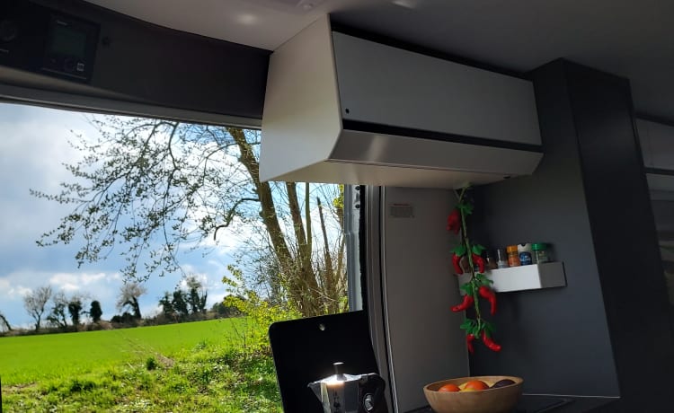 Brixton – 2P Adria Mobil Bus camper from 2021