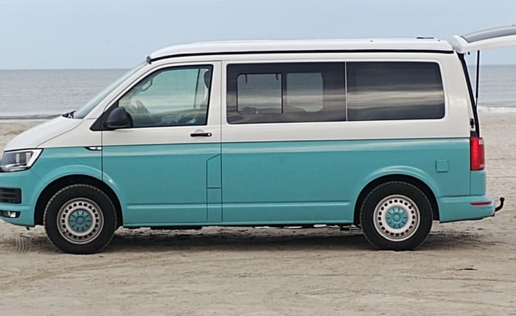 Oceaan blauw – 4 persoons Volkswagen T6 bus uit 2015