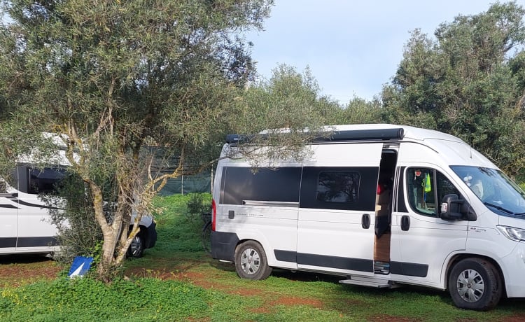 Hamer Grand Canyon bus camper