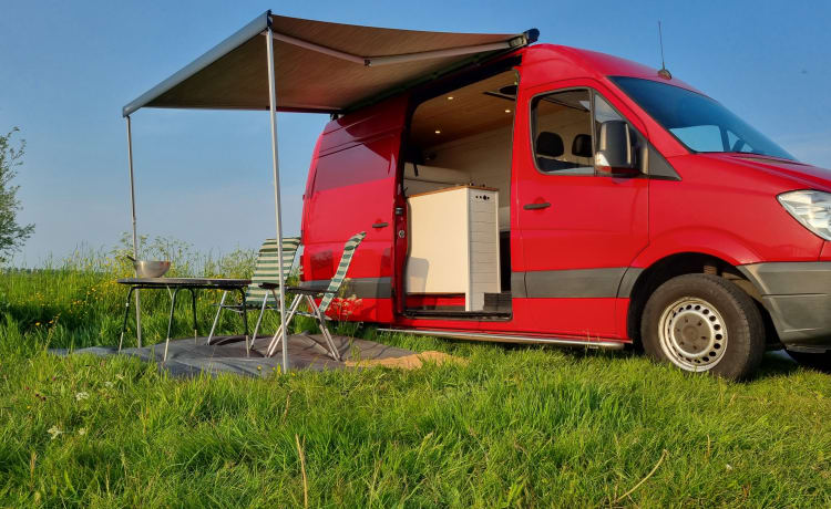 Firefly – The bus camper with a large comfy bed & easy to drive