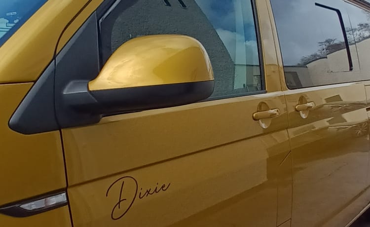 Dixie – Camper Volkswagen T6 automatico di lusso a 4 posti letto del 2020