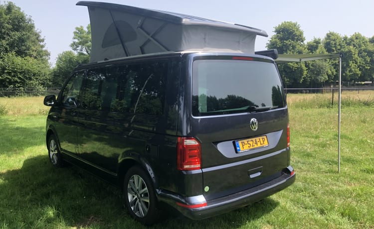 Luxury 4WD VW California (2019)