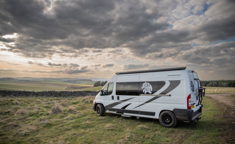 Mini Beast – Luxus-Wohnmobil mit 2 Schlafplätzen