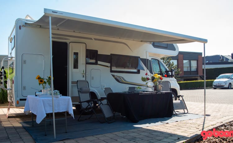 The Arc – All inn family camper