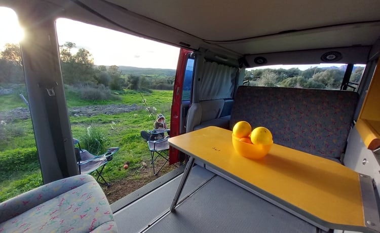 VANTASTIK RENTAL CAMPERVAN – MERCEDES MARCO POLO - VAN GOGH