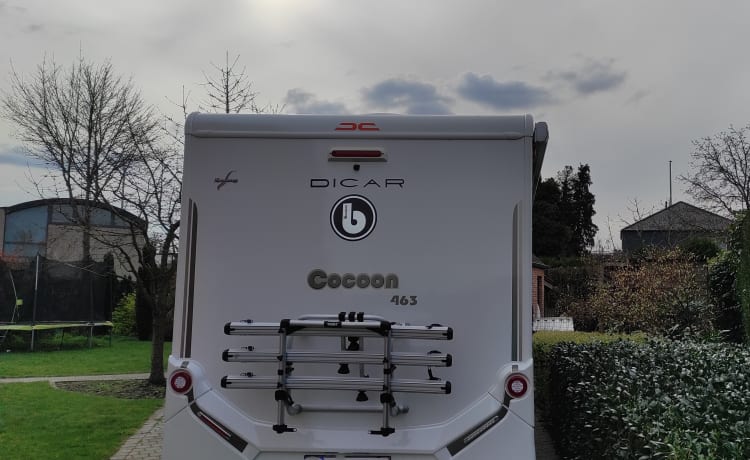 Benny – Leuke Benimar Cocoon 463-camper voor 4personen van 2022