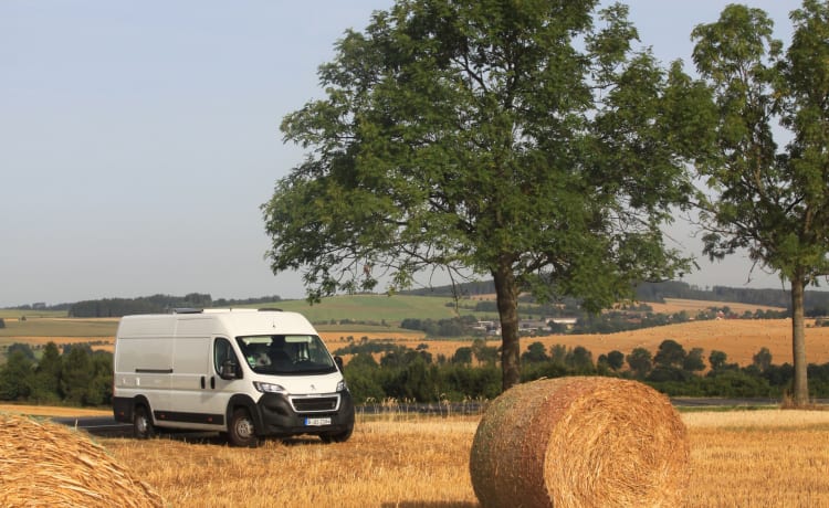 Erwin – Camping-car tout équipé pour 3 personnes