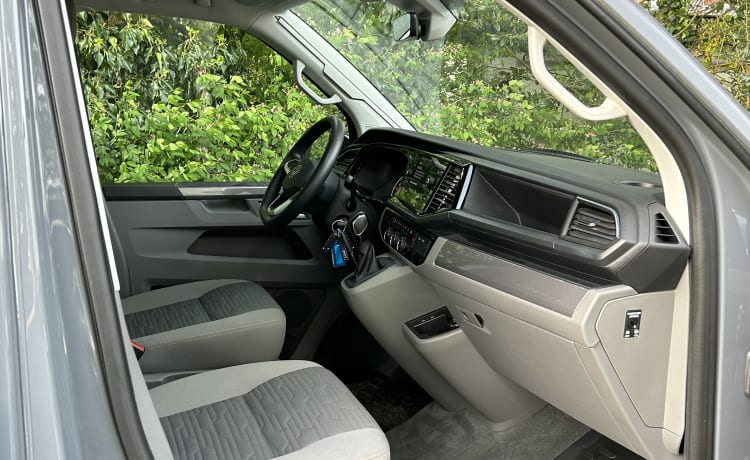 Grey Cali – 4p Volkswagen California  uit 2023