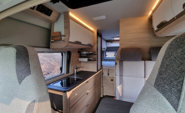 Globus – Well-equipped, cozy bus camper with a unique view