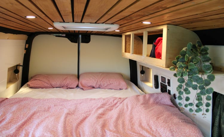 De EcoExpress – Nouveau en location : Camping-car de luxe hors réseau sans gaz