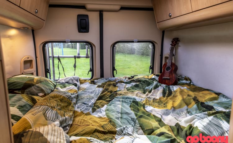 Hygge – Atmospheric camper bus for a fun adventure