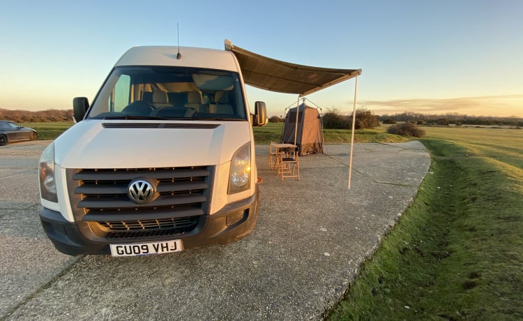 Connie – In the New Forest ready for adventures