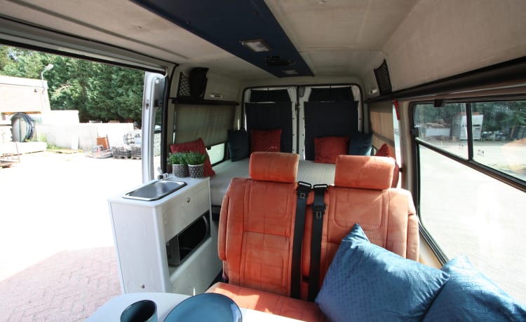 Neat 4 pers. Fiat Ducato bus camper (spacious fixed bed); 2.8 TD with pit