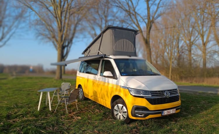 STORMY 2 – Volkswagen California Ocean NIEUW