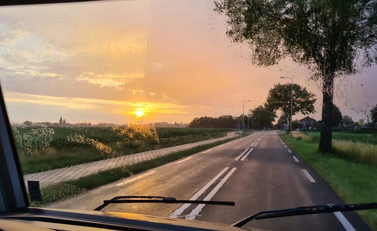 Birdy – Toller Camper mit 4 festen Betten für Familie oder Events - XL-Garage