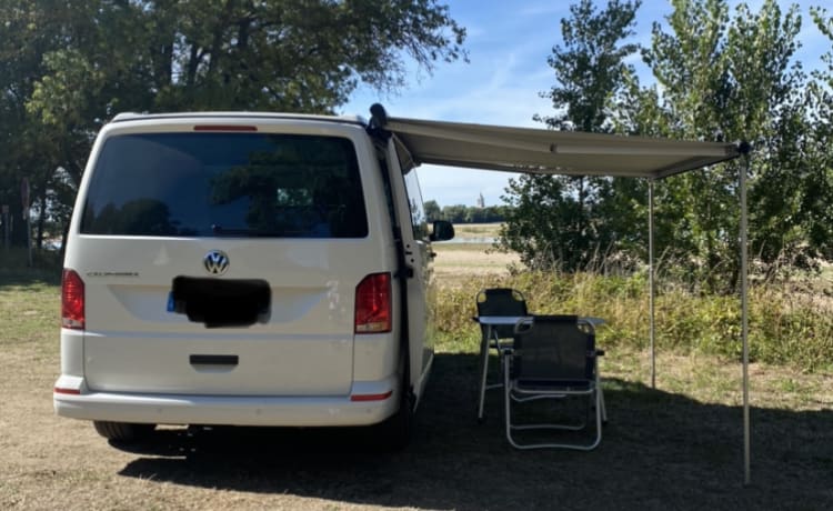 Volkswagen California T6.1 Küste DSG7