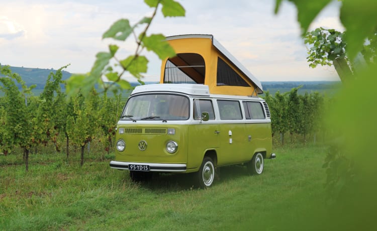 Sanseveria – Volkswagen T2b Westfalia Berlin '77