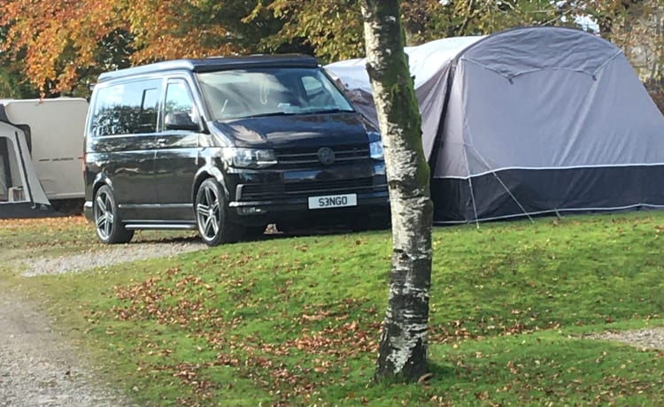 Black Beauty – Schwarze Schönheit, unser VW T6 Top-Transporter