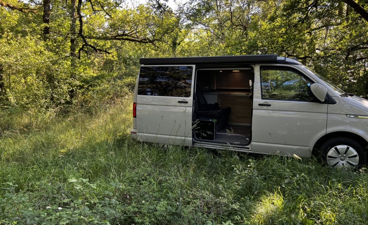 Jimo – Van VW California Nine für 4