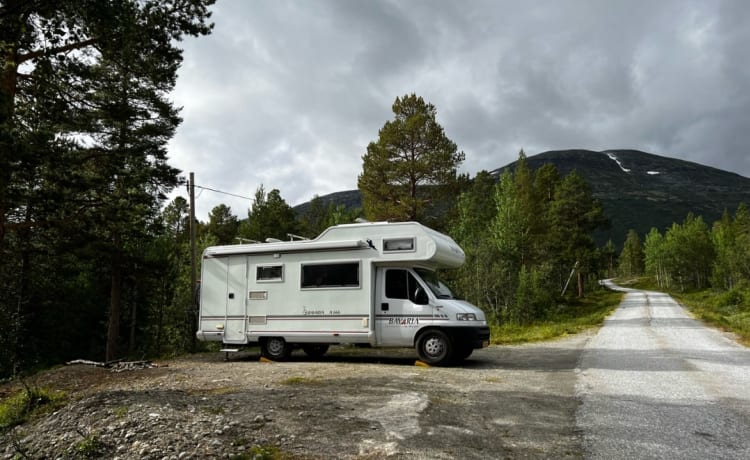 De Camper – Belle Fiat Bavaria 7p spacieuse avec hayon XL