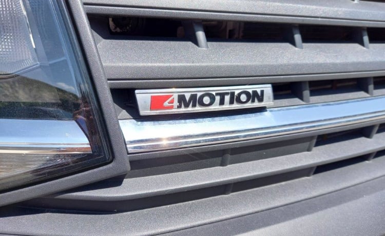 CALIF – Autobus VW California 4 Motion - 4 persone