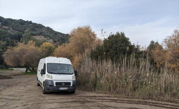 Balu – Vanlife Essentials - probier's mal mit Gemütlichkeit