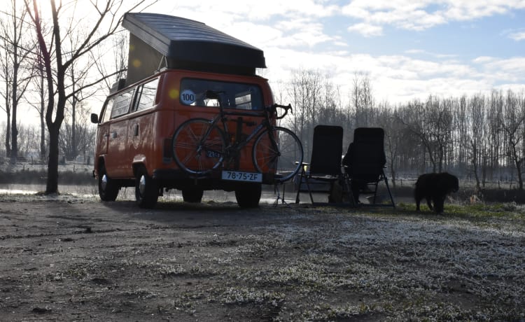 Wickie – VW Hippie van Wickie - zurück in die 70er!