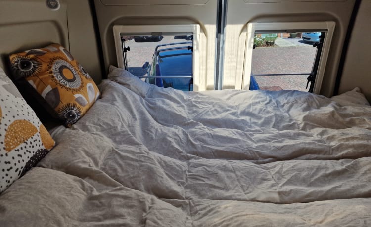 Camper Carado 3 posti letto del 2023