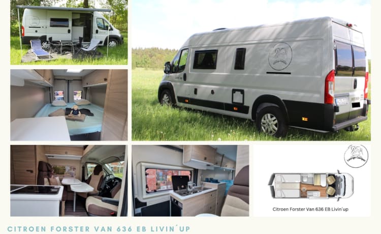 LoungeCamper – Vuoi rallentare e divertirti alla guida