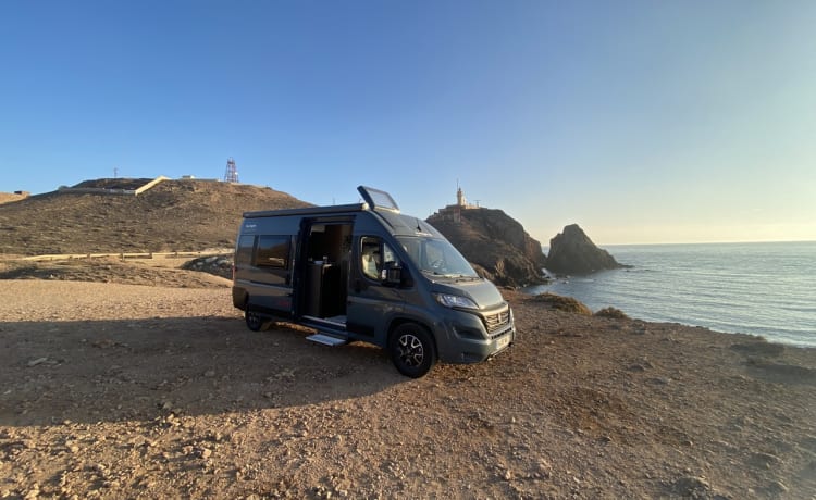 Cocolishi Camper – New bus camper for up to 4 people in Spain