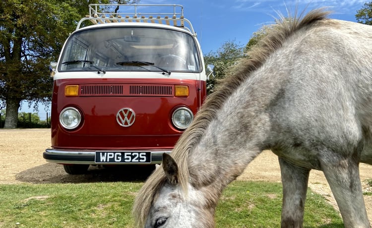 Hugo – Retro VW T2 Erkerfenster Classic - Hugo