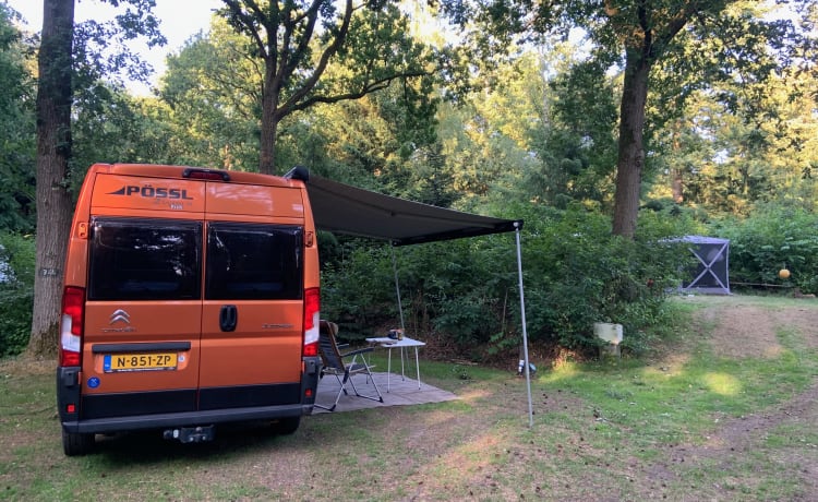 Oranje Boven – Pössl Camperbus 2 Win R Plus from 2019 with 163 HP and Euro6