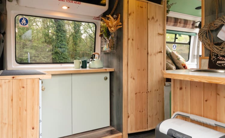 Annie The Ambulance – Ex-Ambulance, 3 Birth, Converted Campervan