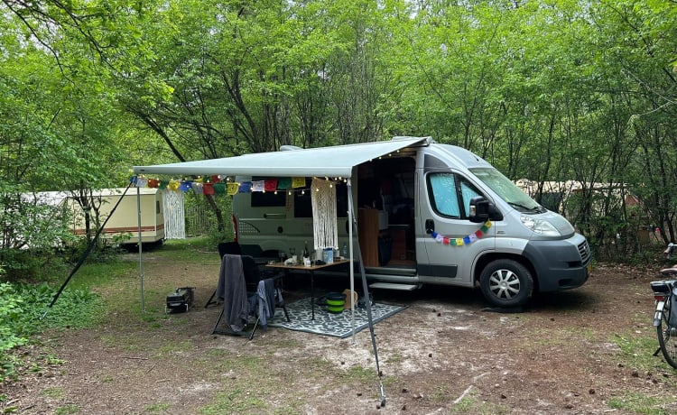 Globecar  – Globecar 3p Pössl bus uit 2013