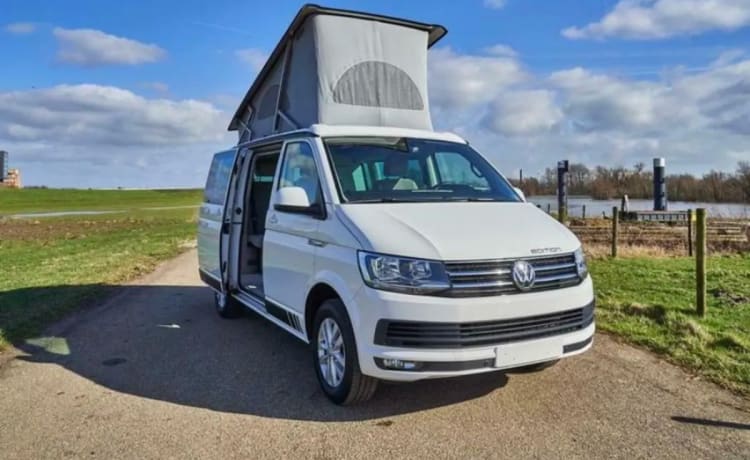 VW Transporter California Ocean Automatikgetriebe