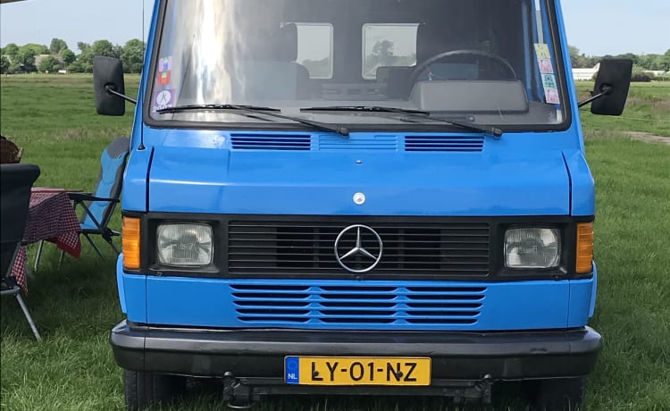 Lynz – Heureux camping-car Westfalia