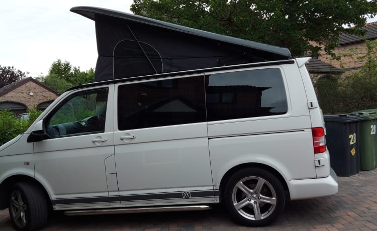 Transporter-Saurus-Rex – Transporter-Saurus-Rex... a 4 berth Volkswagen campervan from 2010