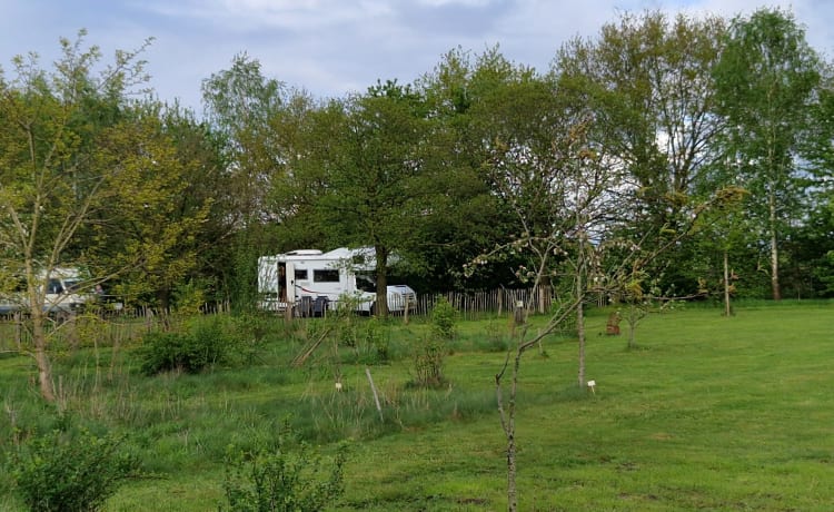 Hymer Carado A366 – Heerlijke ruime Off-grid familie camper! 