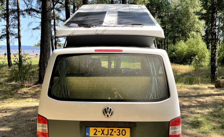 Binkie – Unieke en duurzame Volkswagen Transporter