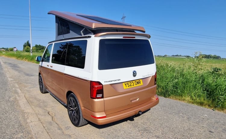 VW Campervan (White/Copper Bronze) – VW Campervan (2023) 4/6 slaapplaatsen