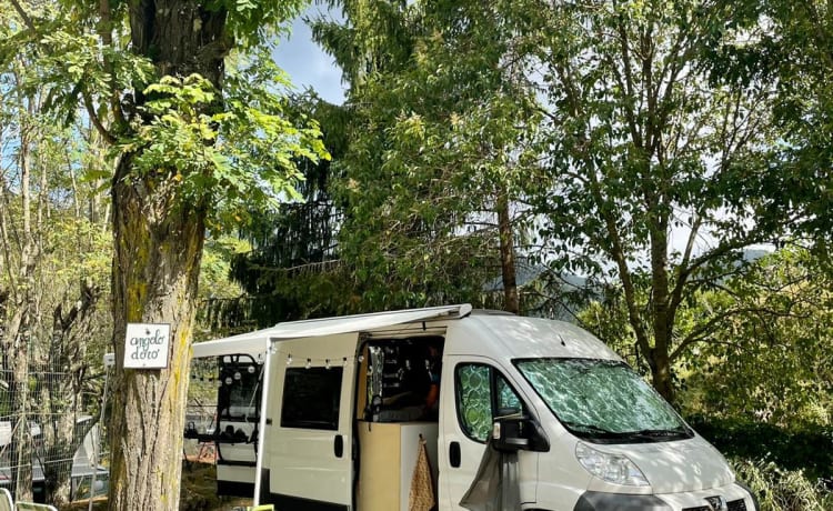 Hip self-built camper bus