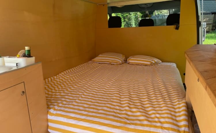 Billy – Camper Mercedes-Benz 2p del 2001