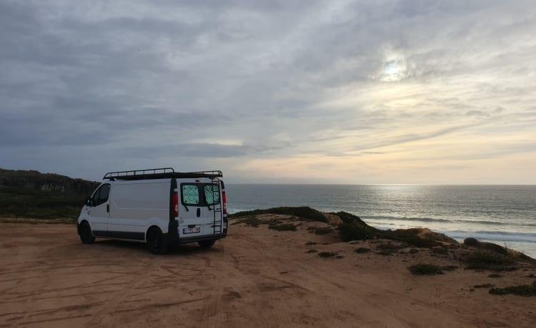 Opel Vivaro L2H1 COZY + ROOFTOP TERRACE