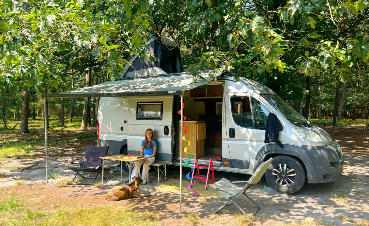 le Bus – Super camper 4 persoons