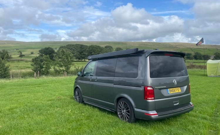 Gray – 4-persoons Volkswagen campervan uit 2018